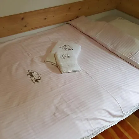 Dajoda Free Hébergement de vacances Kopaonik