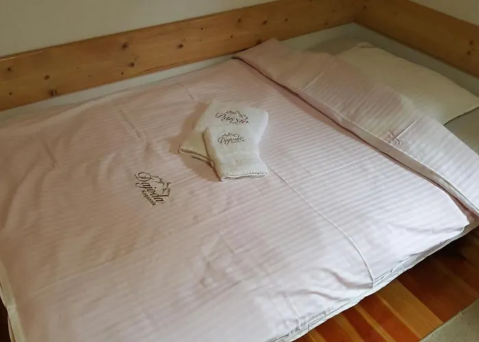 Dajoda Free 別荘 コパオニク